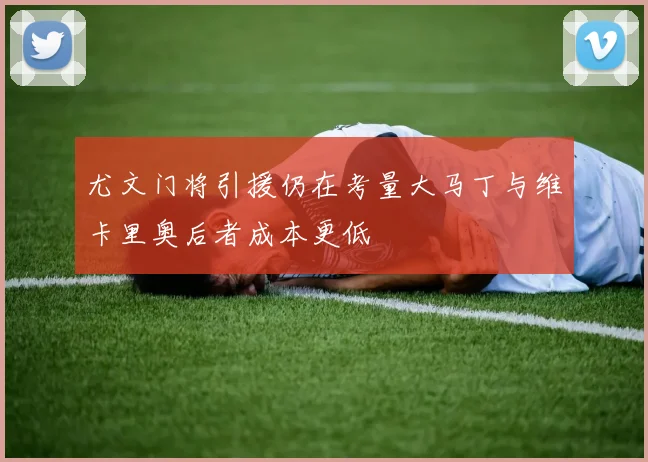 尤文门将引援仍在考量大马丁与维卡里奥后者成本更低