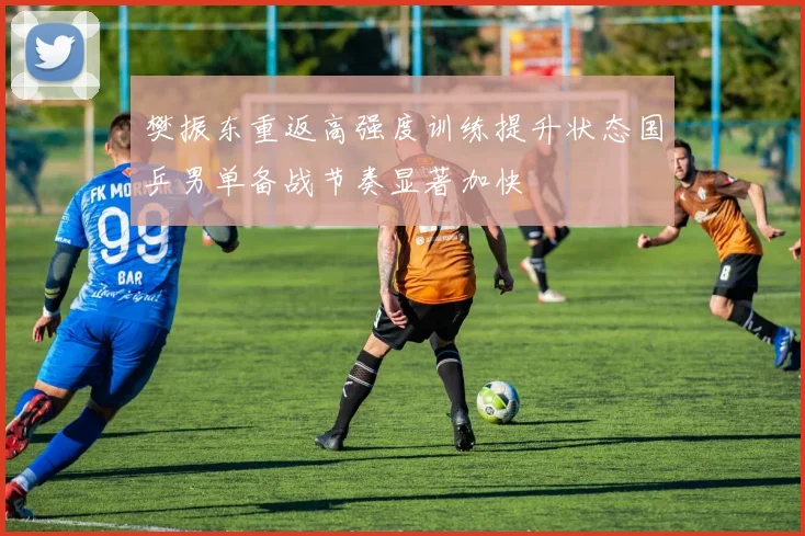 樊振东重返高强度训练提升状态国乒男单备战节奏显著加快